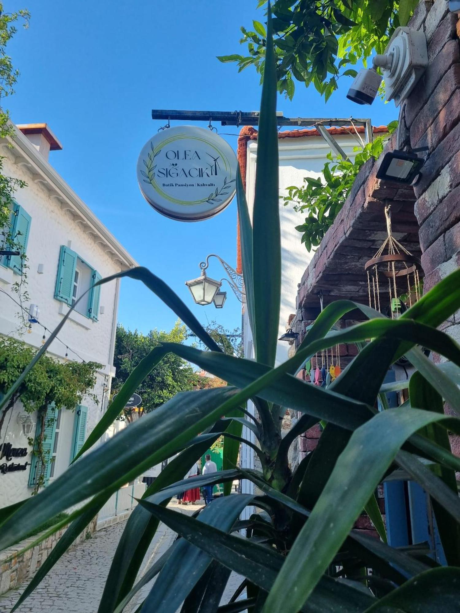Olea Sigacik Pansiyon & Bistro Seferihisar Eksteriør billede