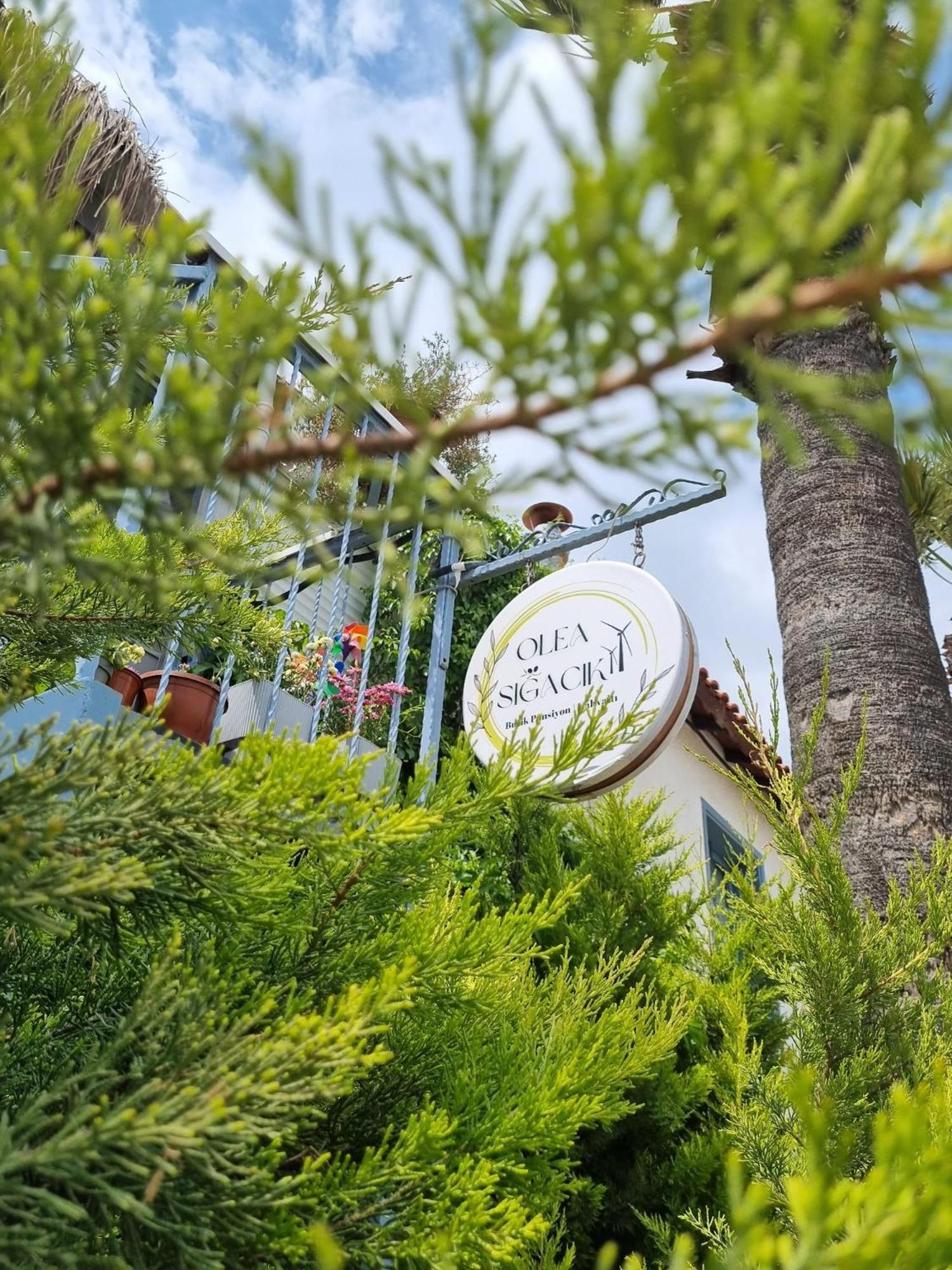 Olea Sigacik Pansiyon & Bistro Seferihisar Eksteriør billede